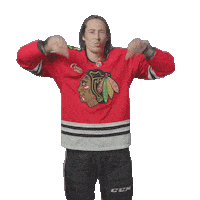 Tyler Bertuzzi Chicago Sticker by NHLBlackhawks