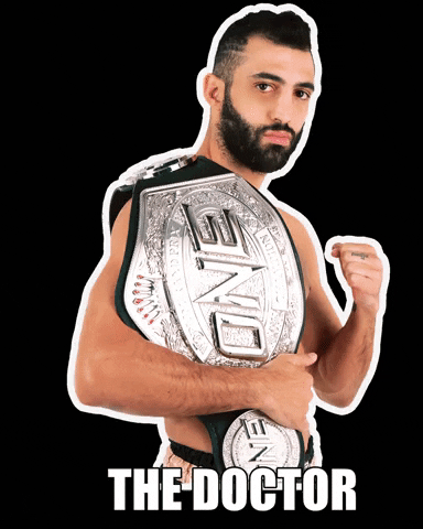TeamPetrosyan giphygifmaker fight kick fighter GIF