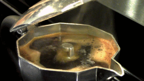 pot try GIF