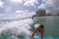 Summer Beach GIF by NOSAM