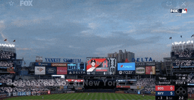 New York Yankees GIF by Jomboy Media