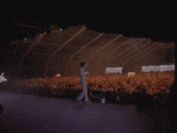 Tucker GIF by ROLE MODEL