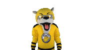 Hockey Win Sticker by HC Pustertal Wolves