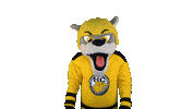 Hockey Win Sticker by HC Pustertal Wolves