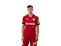 Bayer 04 Logo Sticker by Bayer 04 Leverkusen