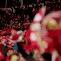 Football Club GIF by Widzew Łódź