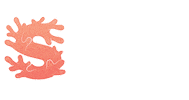 Marine Biology Sea Sticker by Flamenco House - Brisbane