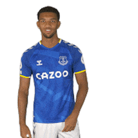 Happy Everton Fc Sticker by Everton Football Club