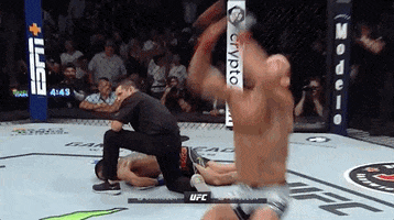 Mixed Martial Arts Fighting GIF by UFC