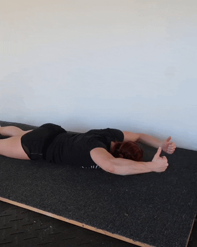 megsquats giphyupload GIF