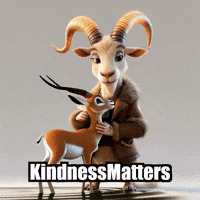 GIF by Radiantelope