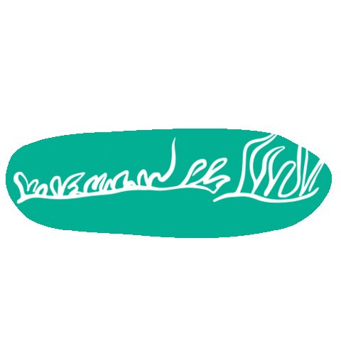 Sea Love Sticker by Marine Stewardship Council (MSC)