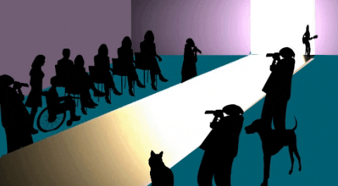 rosaboschetti giphygifmaker blog GIF