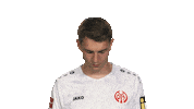 Look Up Mainz 05 Sticker by Bundesliga
