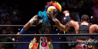 luchalibreaaa  GIF