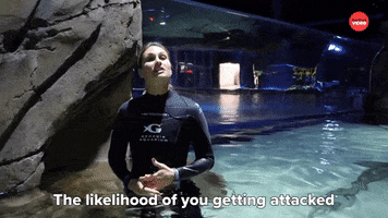 Shark Week Sharks GIF by BuzzFeed