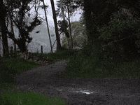 Chevroletco  GIF