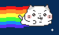 coconyangofficial 고양이 무지개 가즈아 고양이캐릭터 GIF