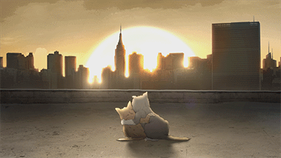 mark duplass cats GIF by Animals