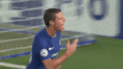 goal cfc GIF by Chelsea FC