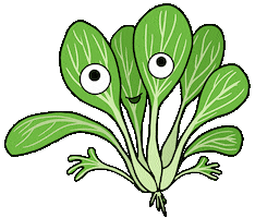 planetgoodearth earth grow vegetables salad Sticker