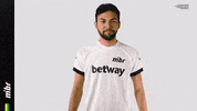 Good Job GIF by MIBR