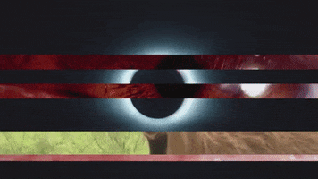 Art Video GIF by jorgemariozuleta