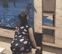 Dance Seduce GIF