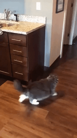 GIF by madmoiZelle