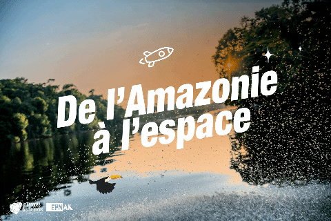 bernardo_de_la_vega giphygifmaker giphyattribution science forest GIF