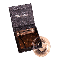 Eyelashes Sticker by Picaso Lashes