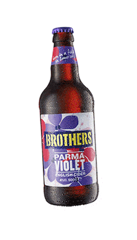 Summer Drink Sticker by Brothers Cider