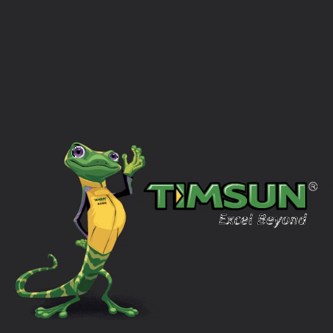 idirsa giphygifmaker tire timsun GIF