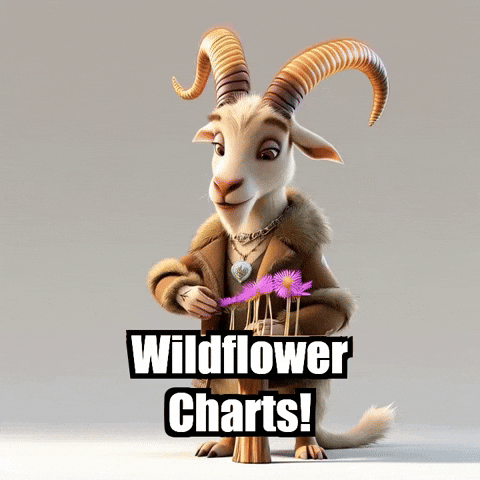 GIF by Radiantelope
