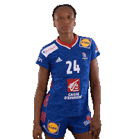 Ffhandball Sticker by Fédération Française de Handball