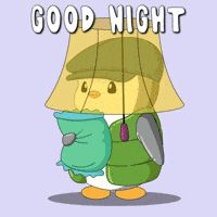 Good Night Penguin GIF by Pudgy Penguins