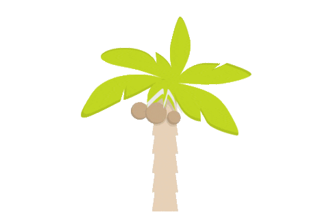 vtours giphyupload urlaub palme vtours Sticker