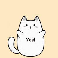 Happy Cat GIF by MESA My Emotional Support Animal