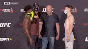 Aljamain Sterling Sport GIF by UFC
