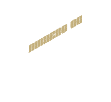 numerozerozerosrl cool house community techno Sticker