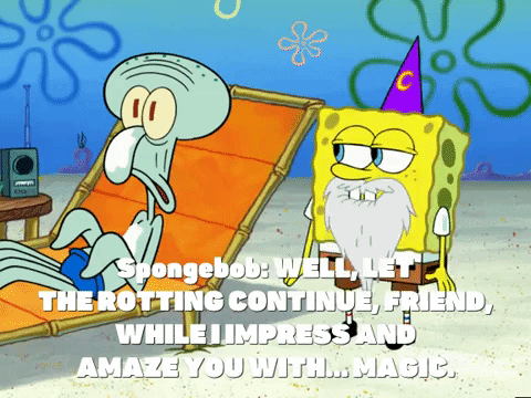 season 4 GIF by SpongeBob SquarePants