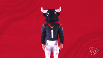 Nfl Mascot GIF by Houston Texans