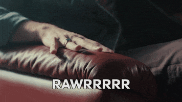 lesnina rawr hud seksi arrr GIF