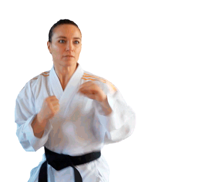 DMTC_Sport giphyupload karate dmtc saracardin Sticker