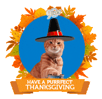 Cat Food Thanksgiving Sticker by Morris the 9Lives Cat