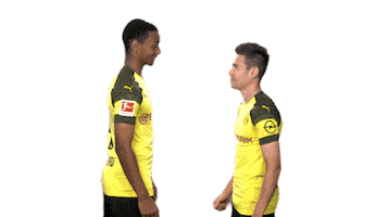 borussia dortmund laughing Sticker by Bundesliga