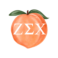 ZetaSigmaChi black peach uni radiant Sticker