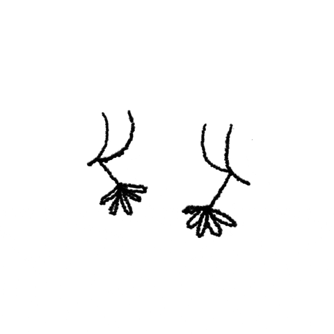 fredericopompeudasilva giphyupload GIF