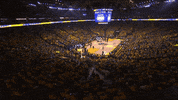 golden state warriors basketball GIF by NBA