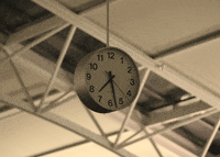 time fly GIF by hateplow